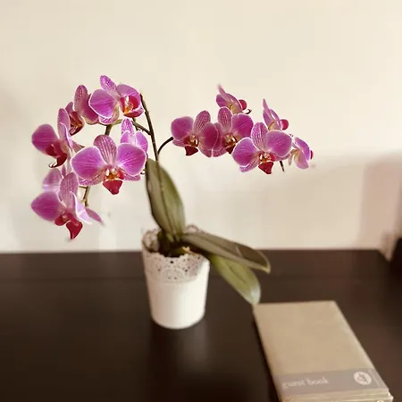 Appartement Alfama Amazing Tagus Views Aircon *